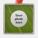 Buscar ecología adornos Naturaleza