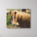Buscar islandia lienzos Granja