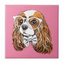 Buscar pajarita azulejos Animal vestido