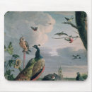 Buscar pájaros exóticos alfombrillas de raton Pavo real