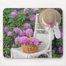 Buscar azaleas General y unisex