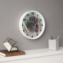Buscar koala relojes de pared Animales