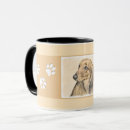 Buscar doxie tazas De pelo largo