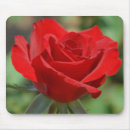 Buscar frágil alfombrillas de raton Hoja