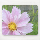 Buscar cosmos alfombrillas de raton Rosa