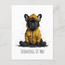 Buscar frenchie negro postales Cachorro