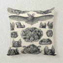 Buscar haeckel cojines Ilustracion