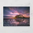 Buscar queensland fotografía Playa