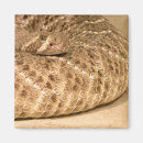 Buscar venenoso imanes Reptil