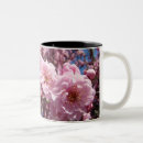 Buscar floracion tazas Madre