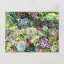 Buscar jardines postales Vegetación