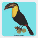 Buscar tucano pegatinas Toscano