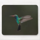 Buscar colibrí verde alfombrillas de raton Naturaleza
