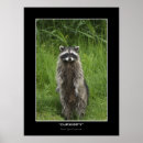 Buscar animal del dibujo animado posters Naturaleza