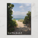 Buscar palm beach postales Playa