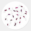 Buscar bacteria pegatinas Biología