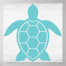 Buscar tortuga marina posters Costero