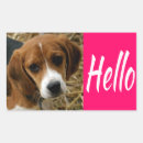 Buscar beagles pegatinas Para ella