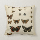 Buscar insect cojines Animales