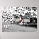 Buscar cardinal posters Bird