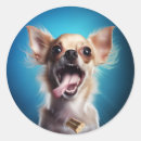 Buscar chihuahuas pegatinas Para mascotas