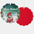 Buscar foca tarjetas Nieve