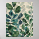 Buscar suculenta posters Verde