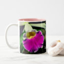 Buscar delicado tazas botellas Nombre