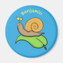 Buscar caracol imanes Ilustracion