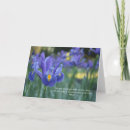 Buscar mutuo tarjetas Familia