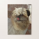 Buscar aficiones puzzles Animales