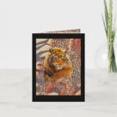 Buscar rayada tarjetas Para él