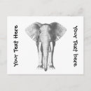Buscar elefante blanco postales Para todos