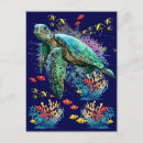 Buscar coral postales Tortuga marina