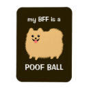 Buscar pom imanes Perro