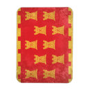 Buscar manchester imanes Gran bretaña