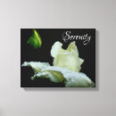 Buscar signo de paz posters Positivo