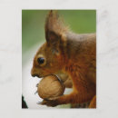 Buscar avaricioso postales Adorable