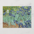 Buscar iris de van gogh postales Pintar