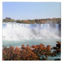 Buscar americano azulejos Naturaleza