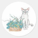 Buscar gato blanco pegatinas Gatito