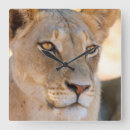 Buscar copy relojes de pared Animal