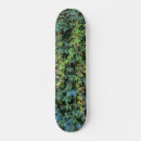 Buscar vides tablas de skate Naturaleza