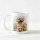 Buscar perro maltés tazas Perros