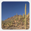 Buscar tucson pegatinas Naturaleza