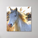Buscar caballo hermoso lienzos Naturaleza