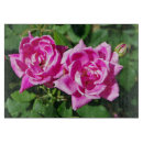 Buscar rosas tablas cortar Flores