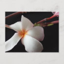 Buscar madre naturaleza postales General y unisex