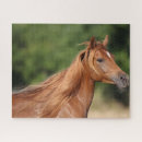 Buscar arabe puzzles Raza
