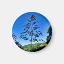 Buscar johnson imanes Naturaleza